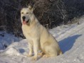 /album/fotogaleria/mix-141-jpg/
